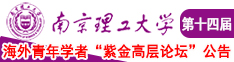 亚洲透板逼南京理工大学第十四届海外青年学者紫金论坛诚邀海内外英才！